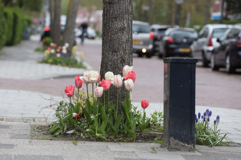 DE GROENE KORREWEGWIJK