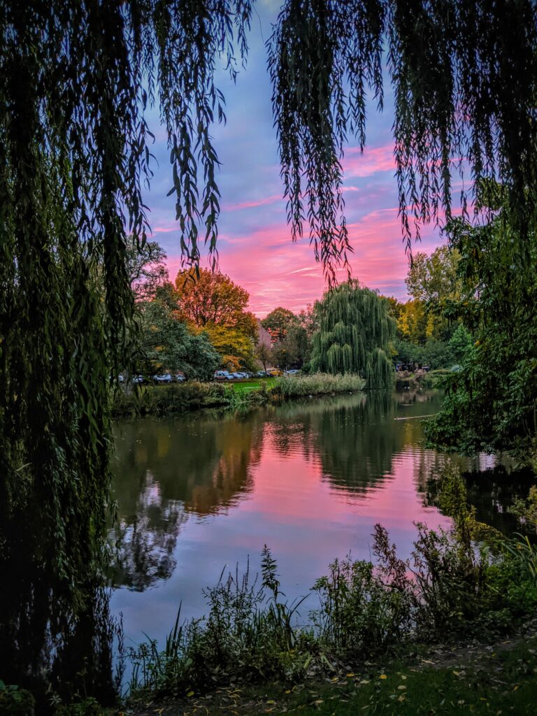 DE GROENE KORREWEGWIJK