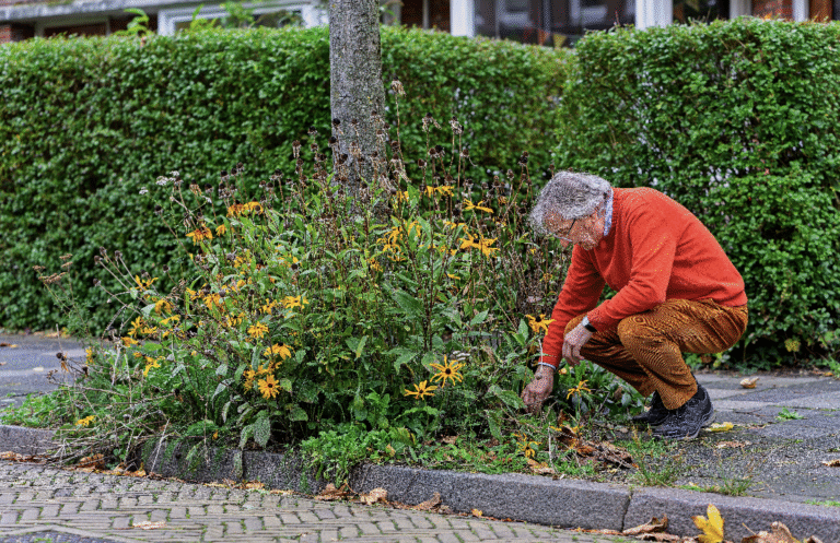 Leer je buren kennen met fleurige boomspiegels